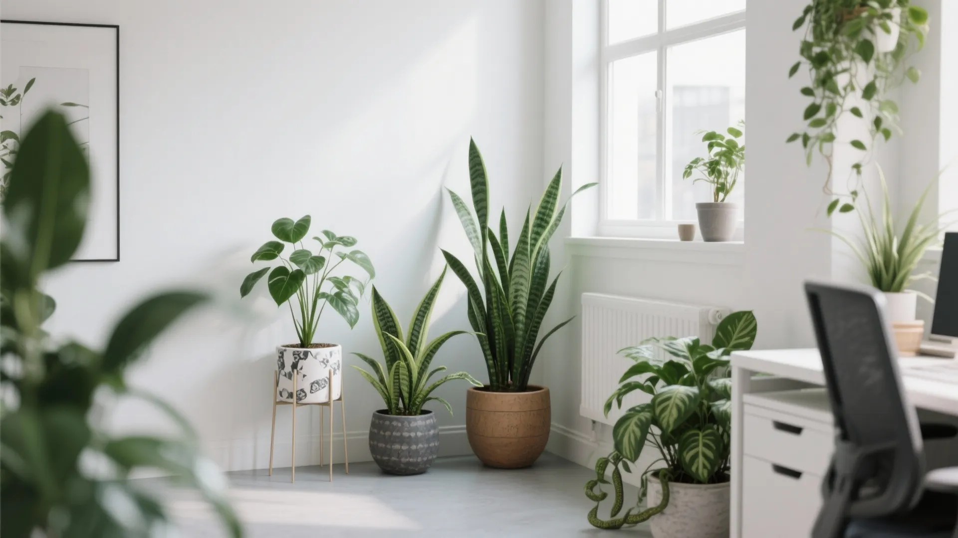 Bright office corner with green potted plants on the floor next to a white desk