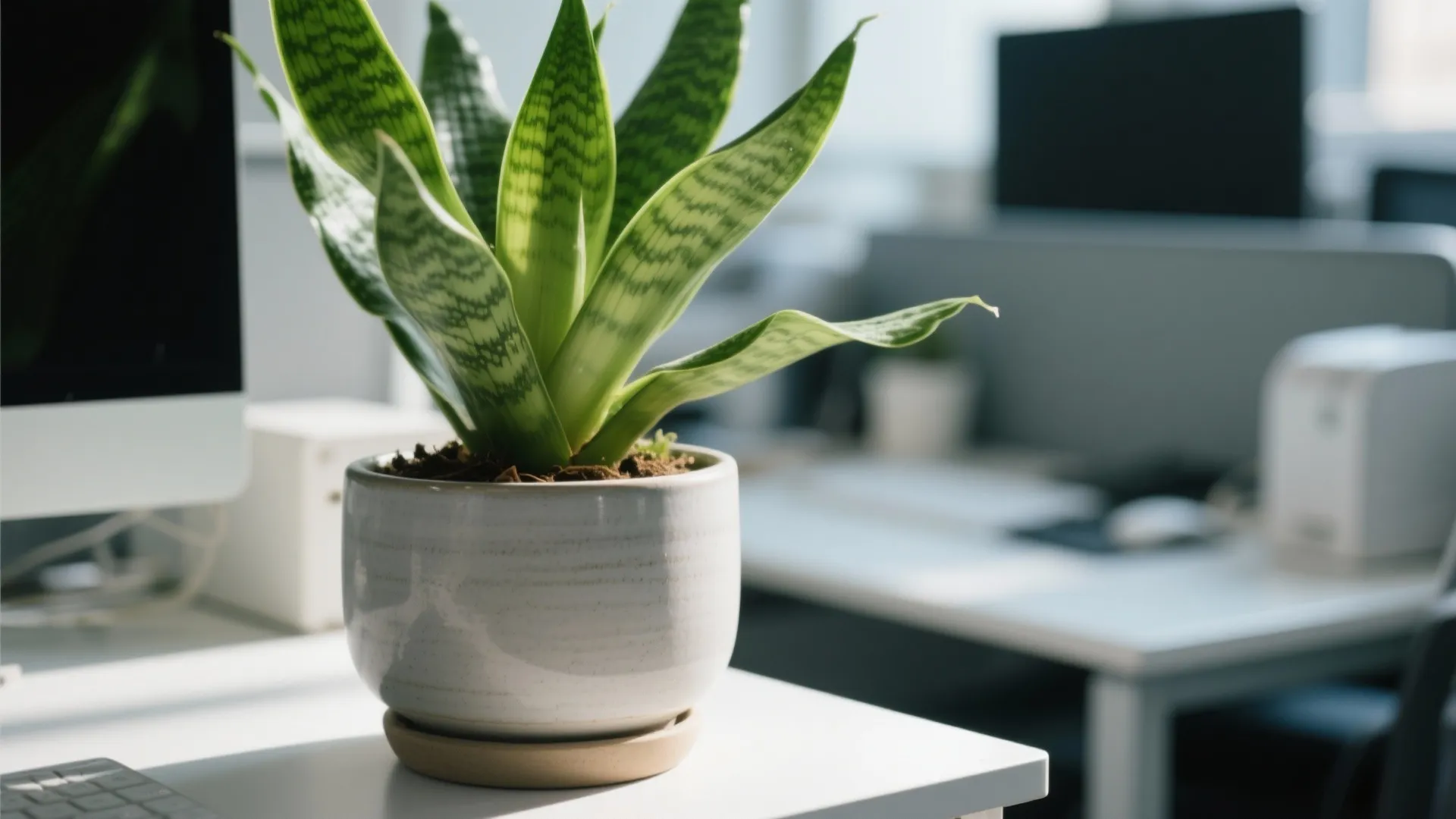 5. Add Natural Elements