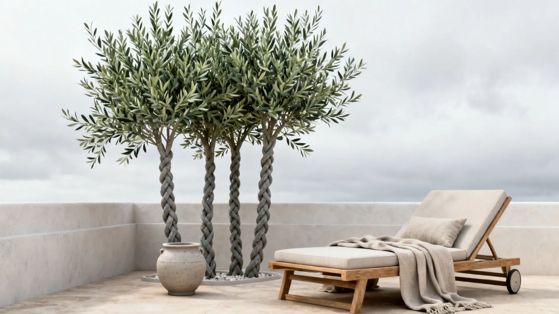 Outdoor patio with wooden lounge chair four braided olive trees stone pot and cloudy sky