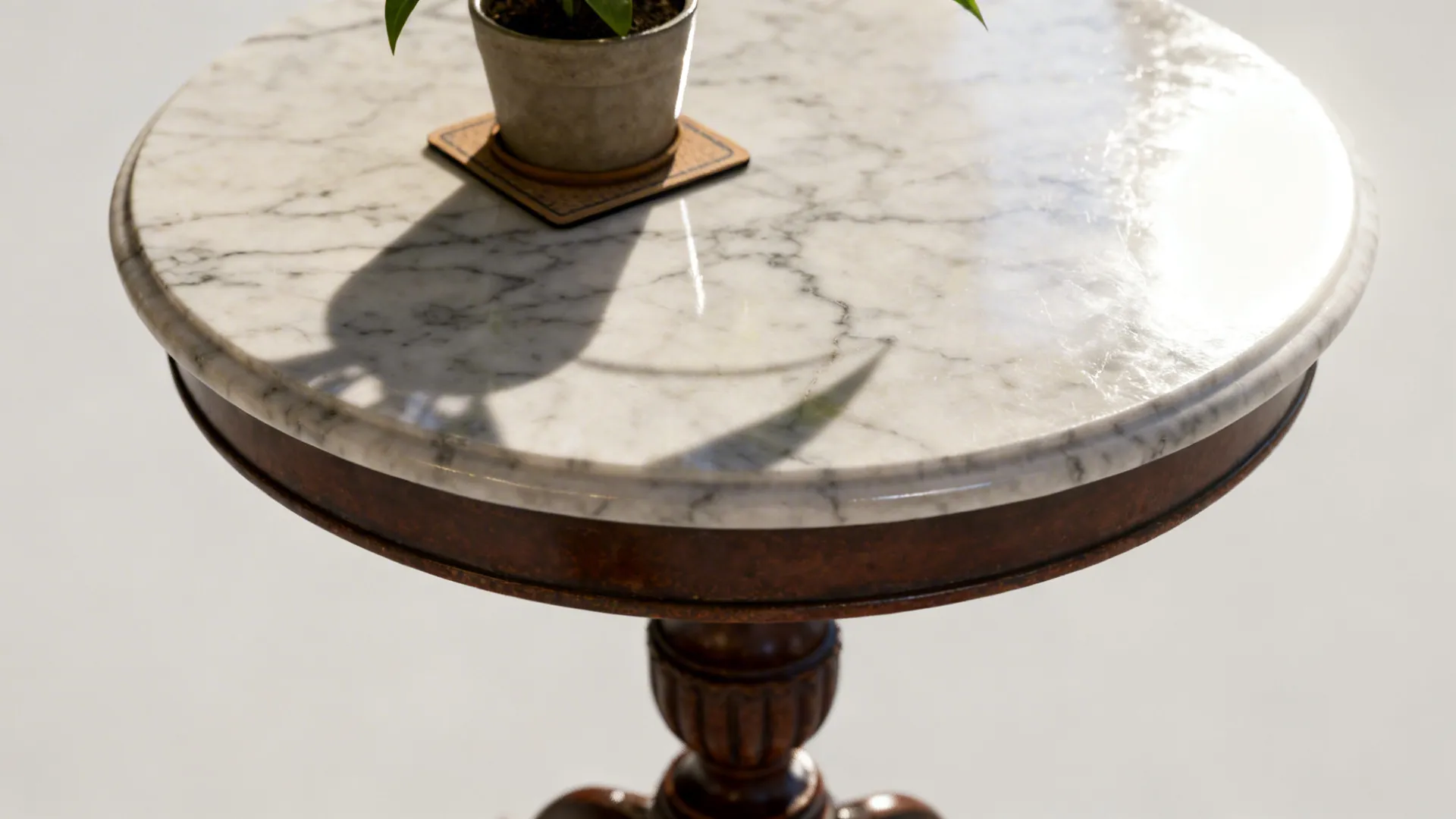Round marble side table with wooden legs holding small green potted plant under bright natural sun