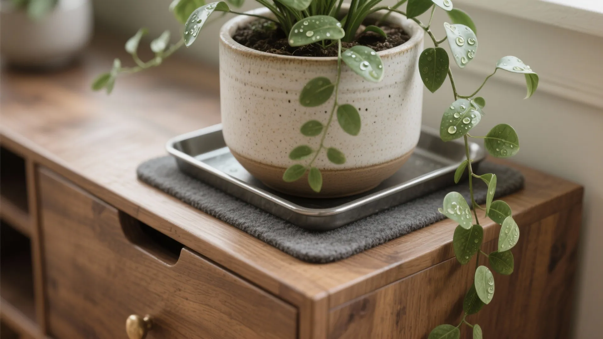 5) Vertical Greenery and Narrow Console for Entry Corners