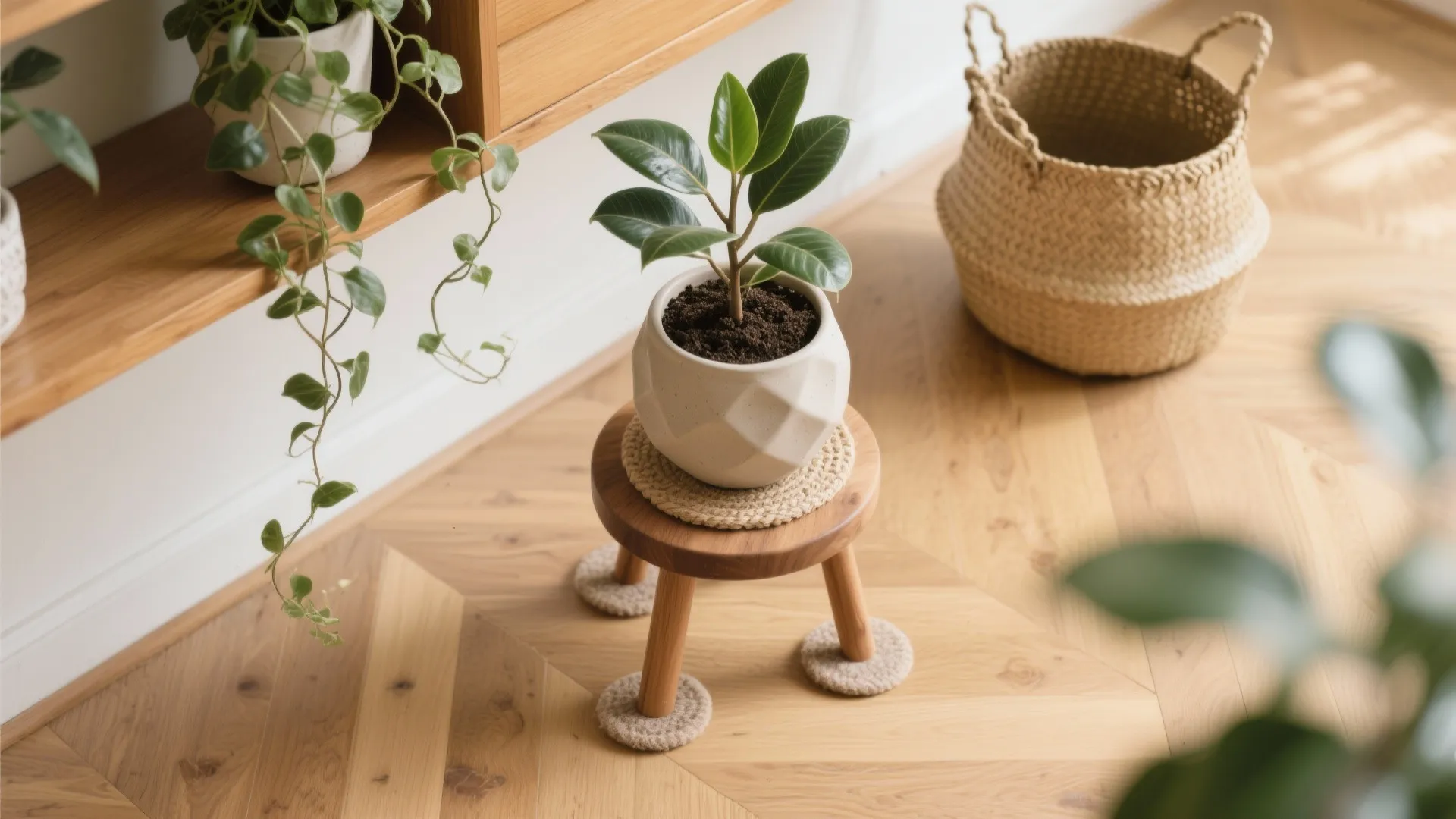 Plants and Natural Textures