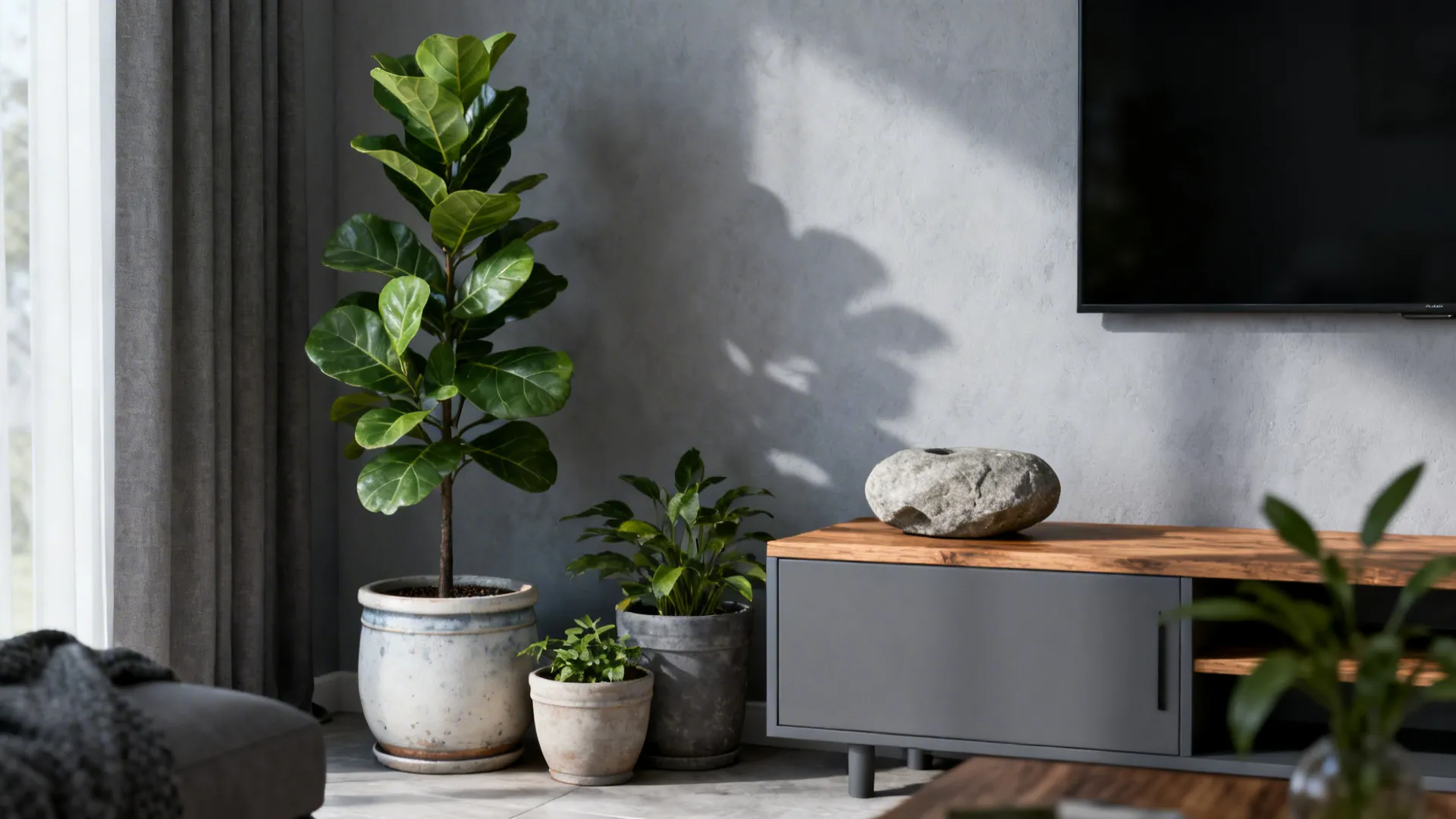 Living room corner with fiddle leaf fig, wood console and ceramic planters