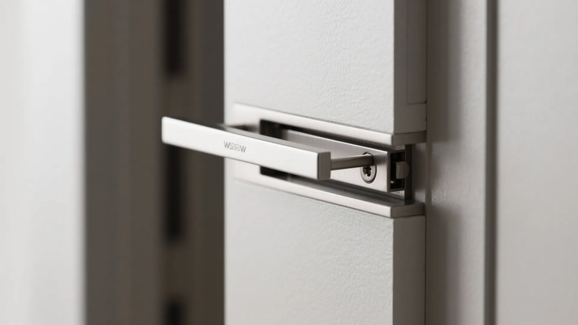 Minimalist pocket doors