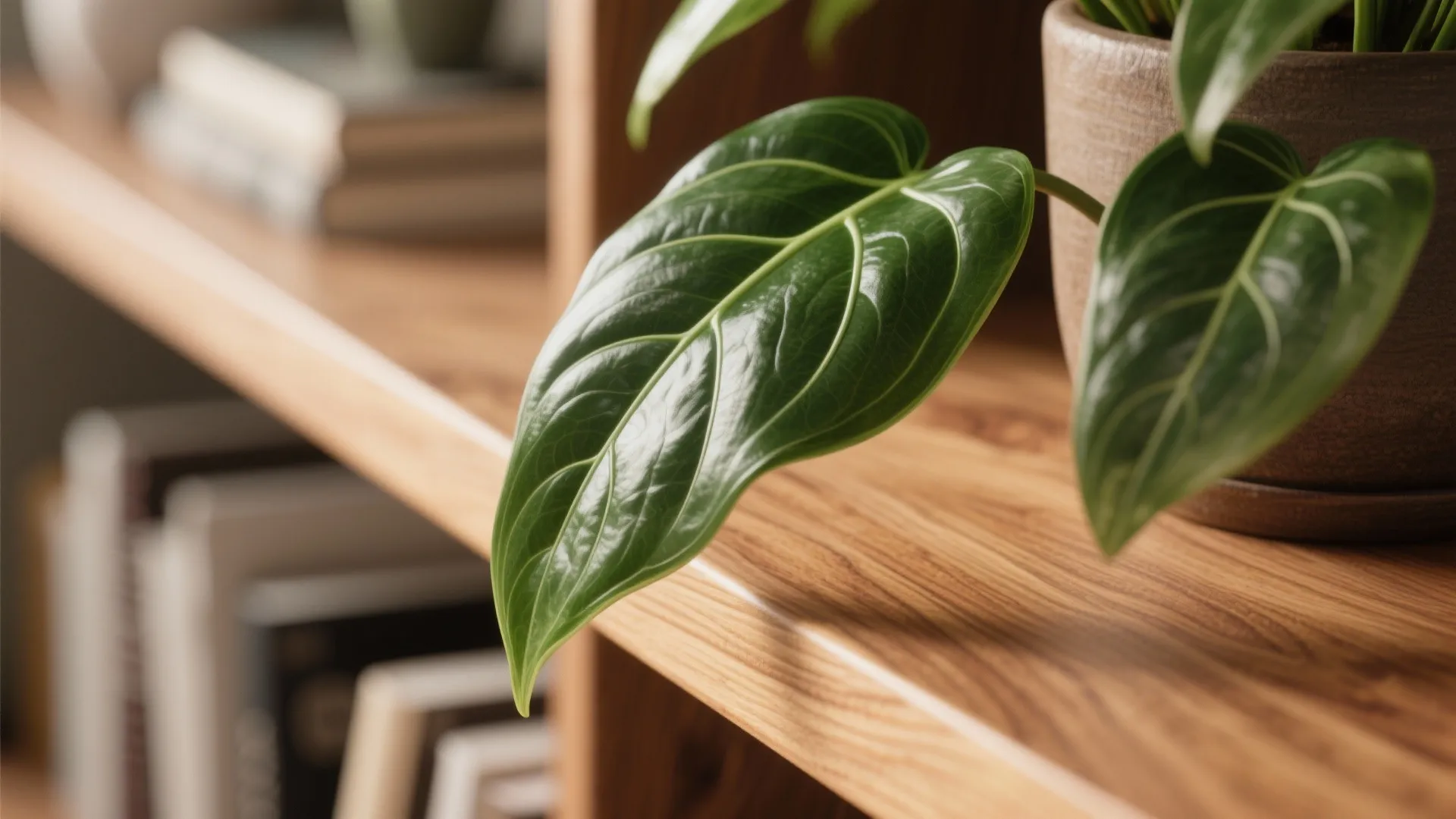 Biophilic calm: plants, warm wood tones, and a view cue