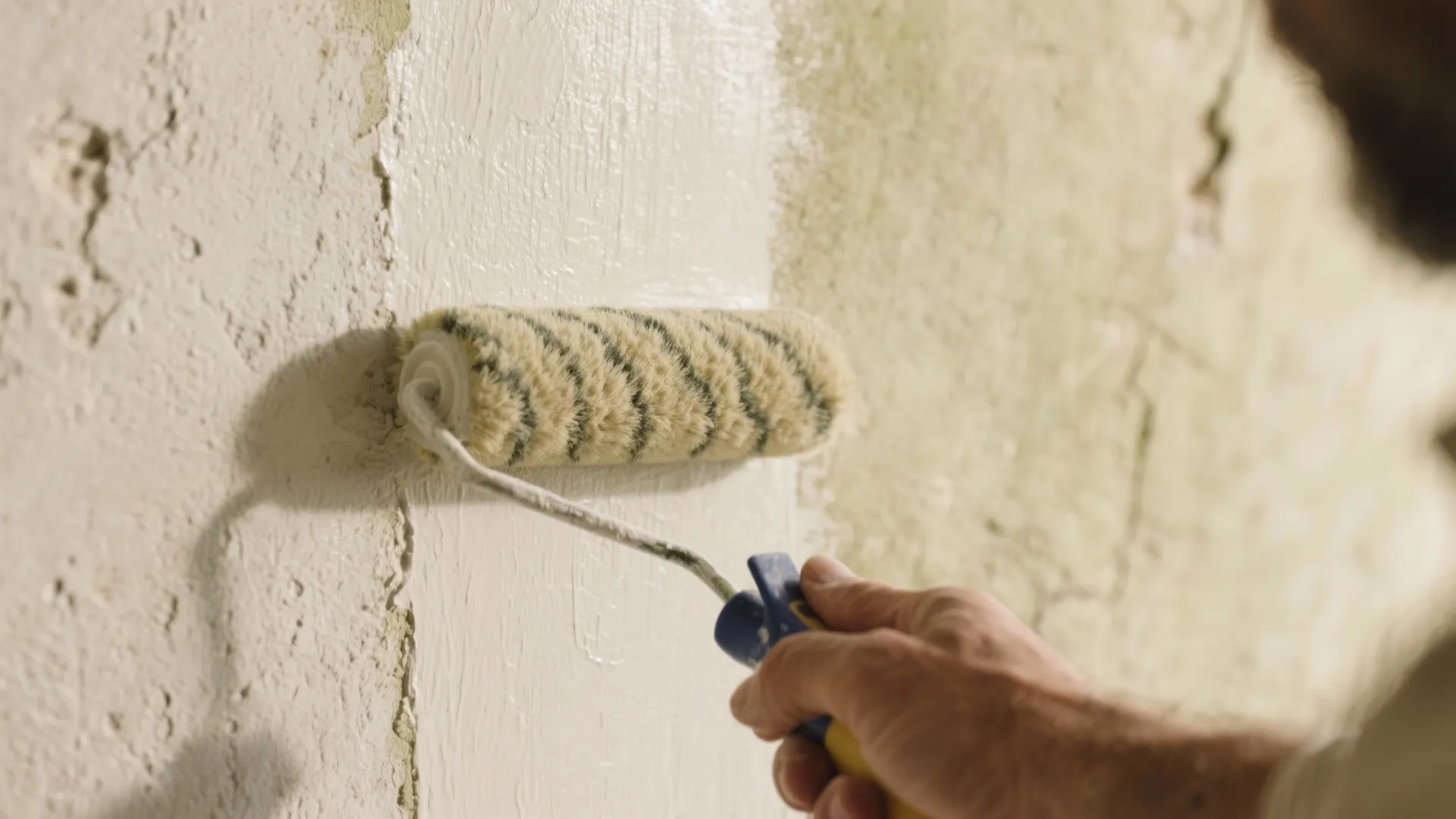 Macro of breathable primer being applied to historic lime plaster, showing texture and absorption.