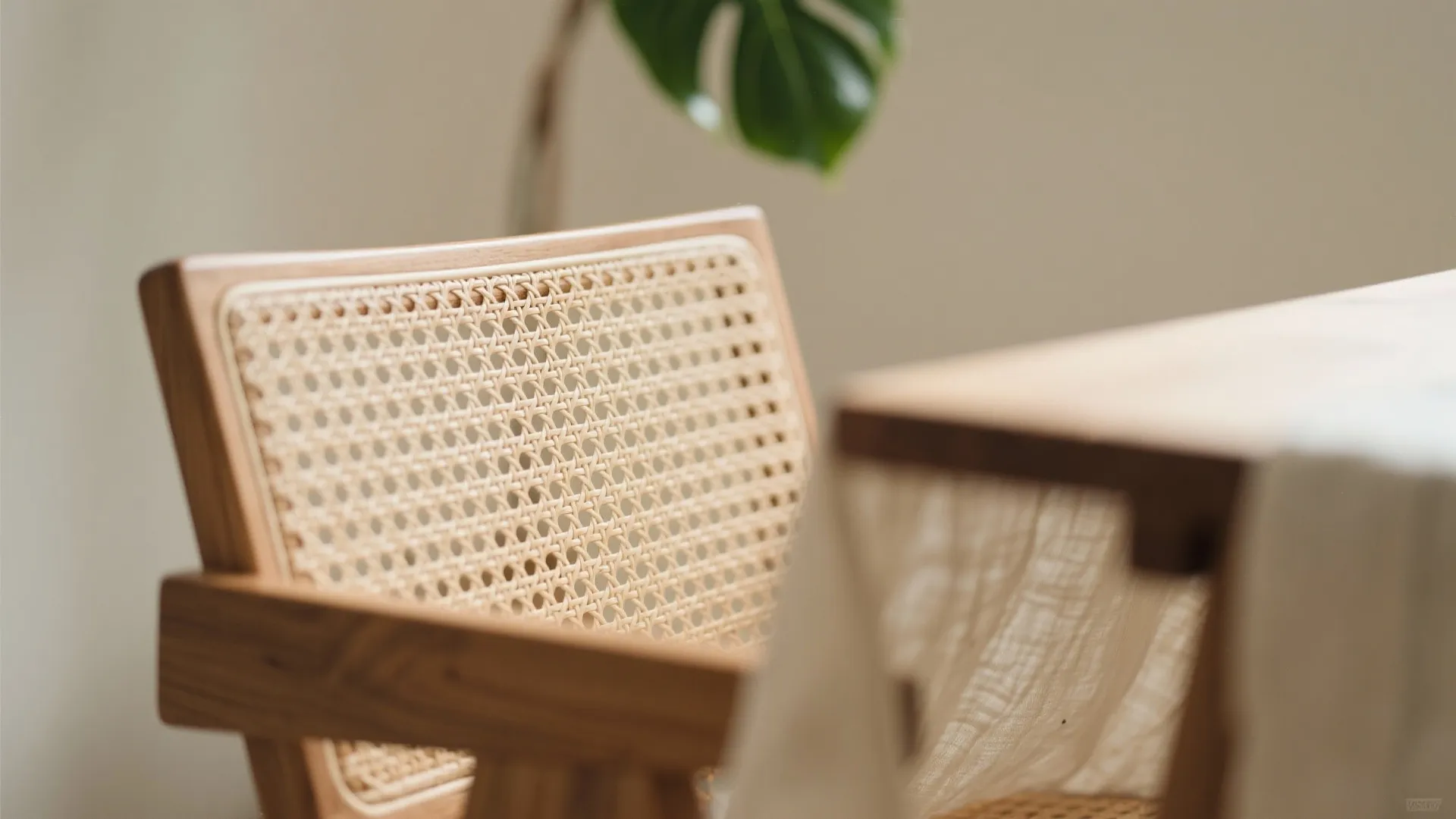 Biophilic Elements: Indoor Greens, Light, and Natural Finishes