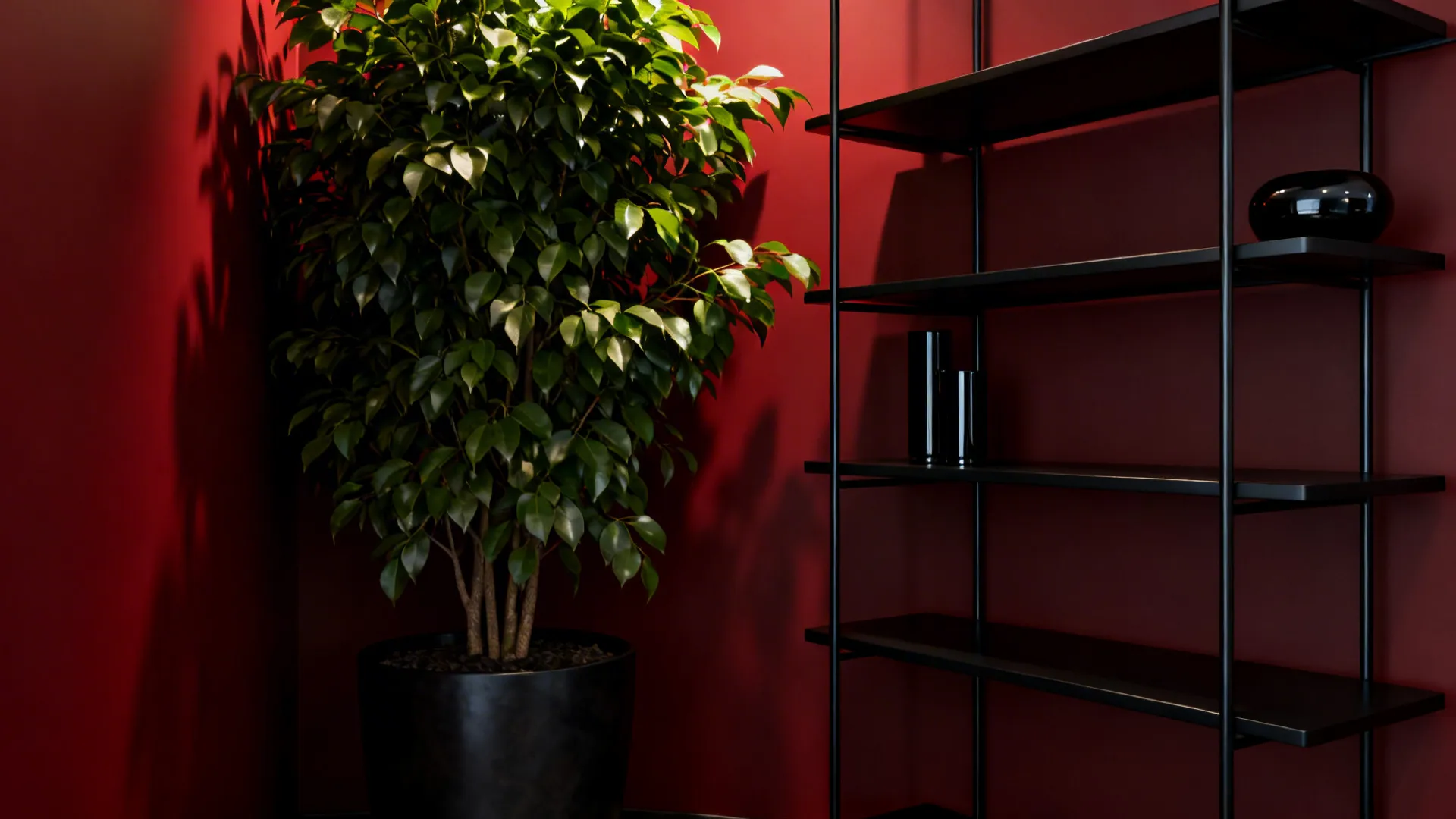Deep red wall with black metal shelving and deep-green potted plants for a moody modern look.