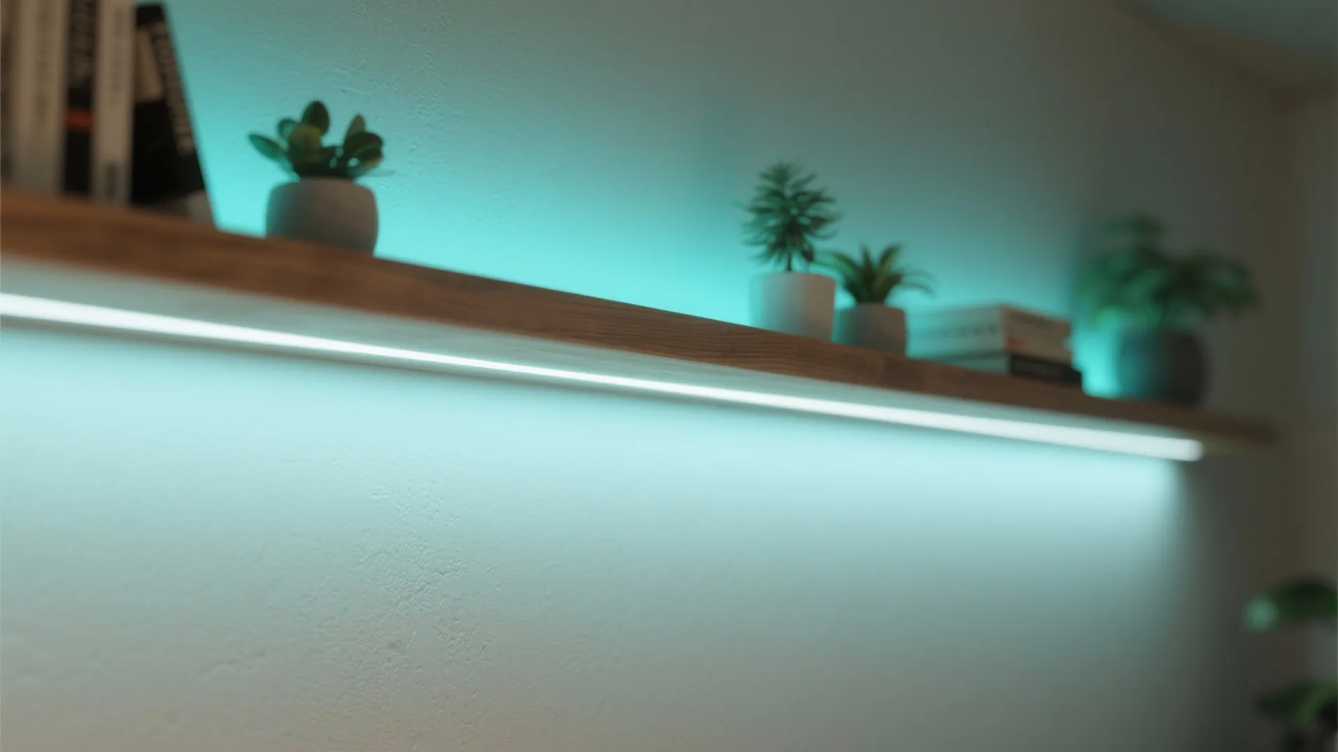 Close up view of wooden wall shelf with green plants and bright blue light fixture