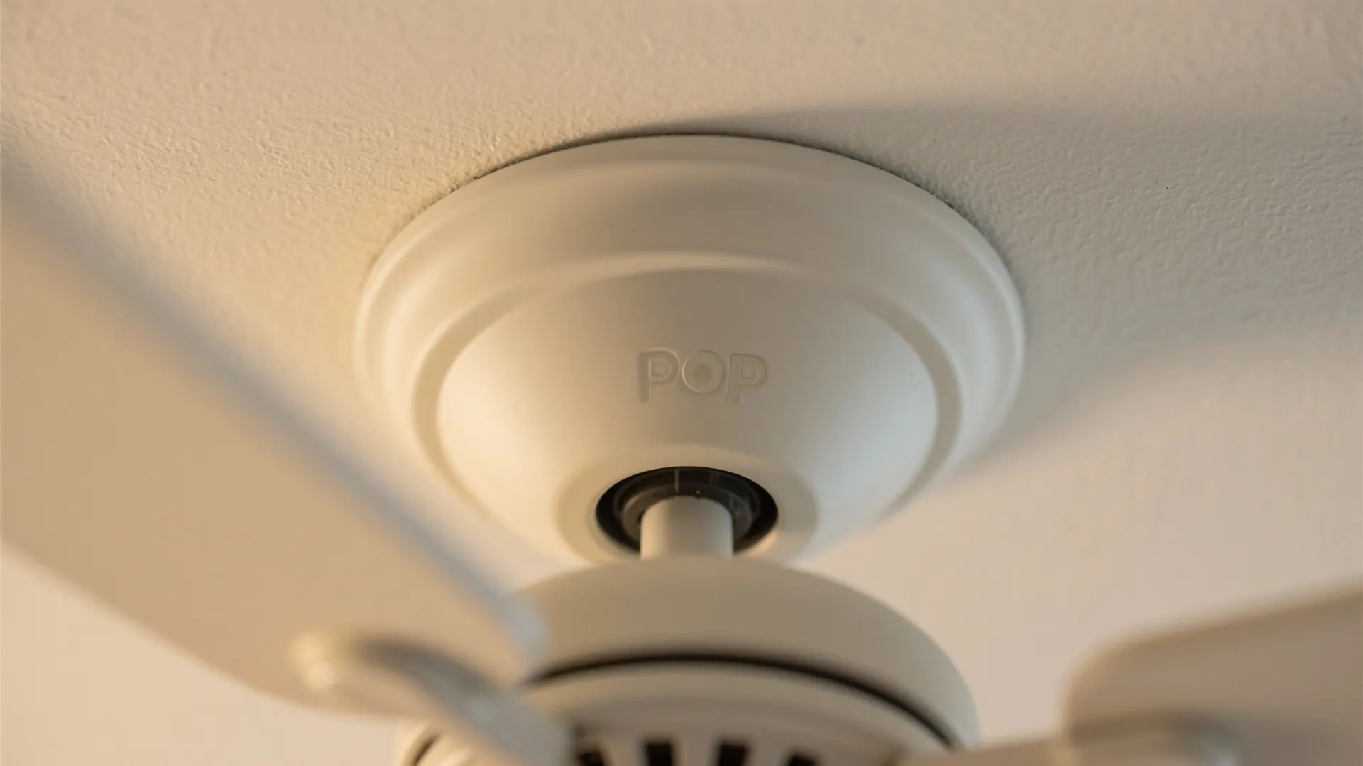 Macro of a shallow POP ring around a matte fan base with a smooth warm-white finish.