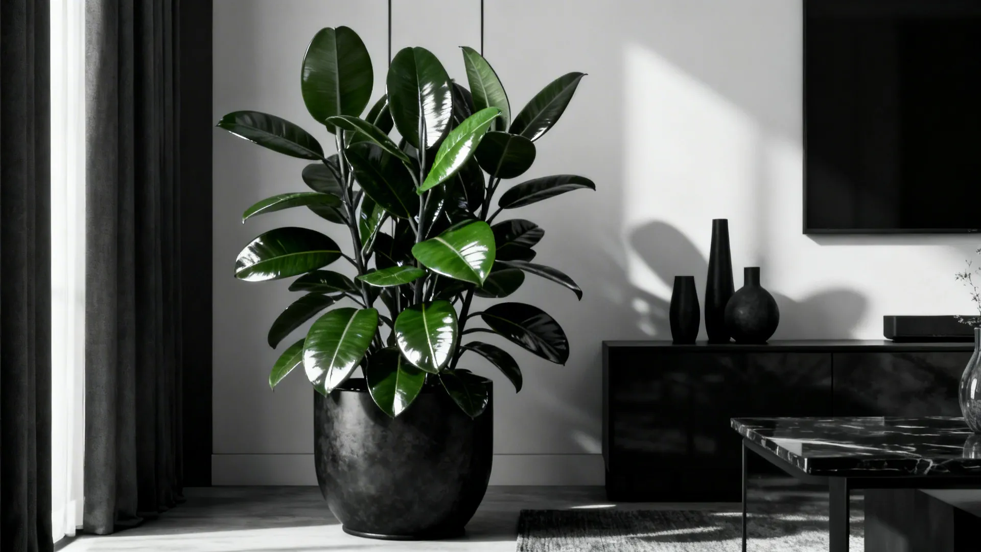 Glossy faux rubber plant anchoring a modern living room with contrast-rich styling