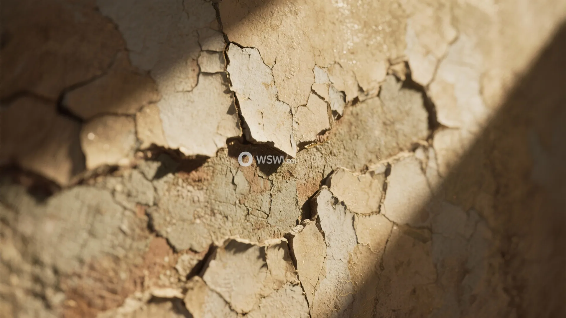 Close up of old peeling wall paint showing cracked texture with soft natural light and shadows