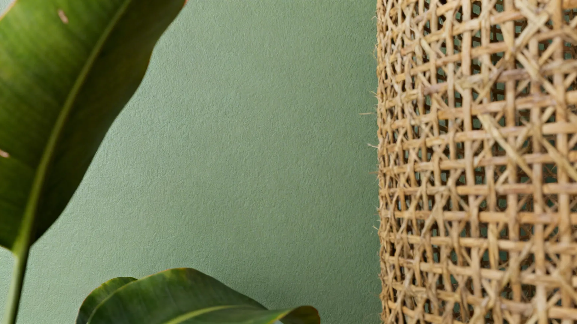 Close up of green painted wall with woven texture and large green leaves in light