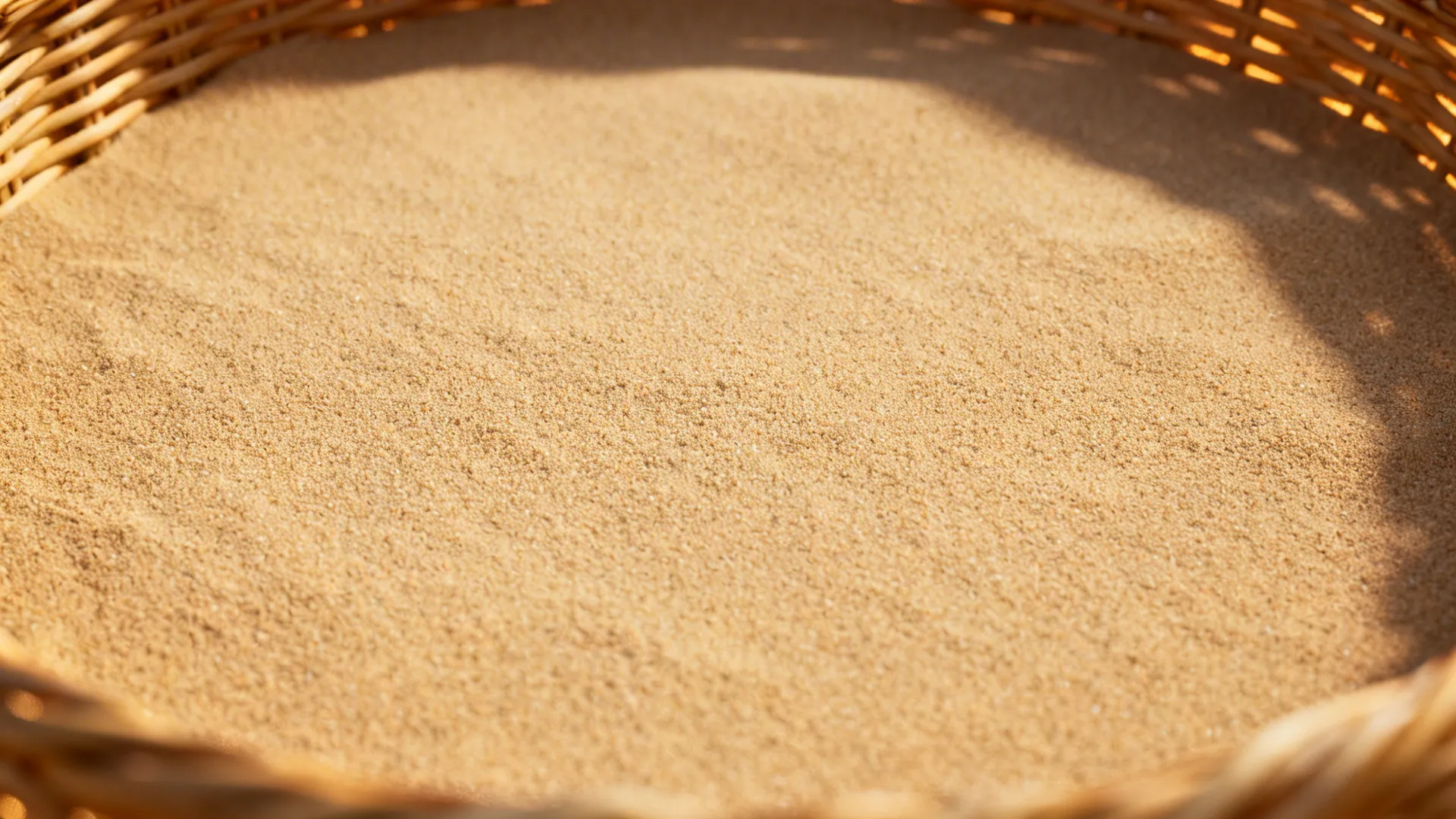 Macro of fine sand texture paint in camel-beige under warm grazing light.