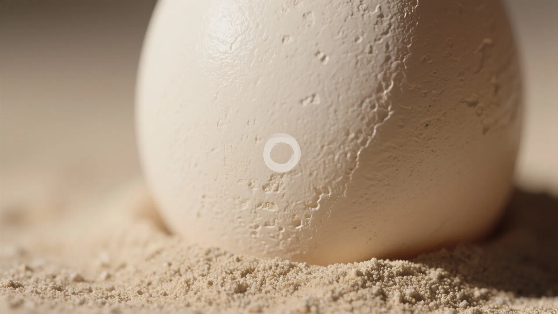 1. Subtle sand texture for cozy depth