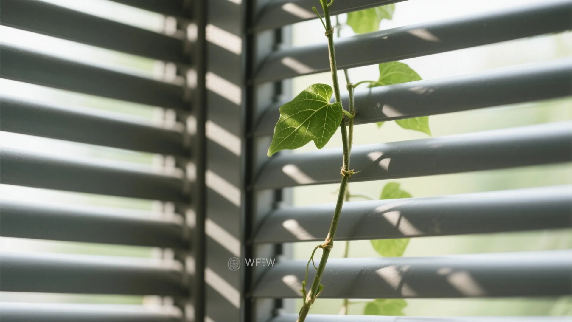 Framed privacy with screens plus plants