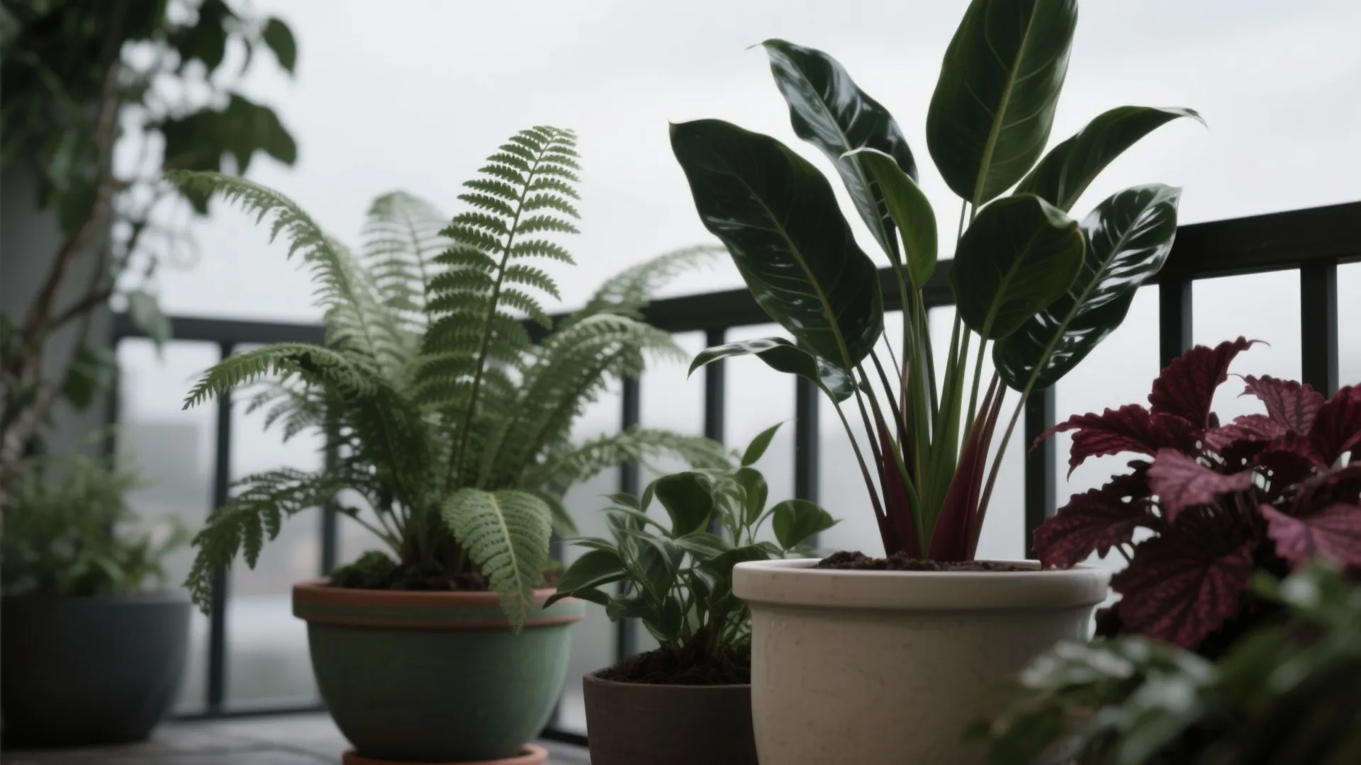 Shade-loving palettes that still pop