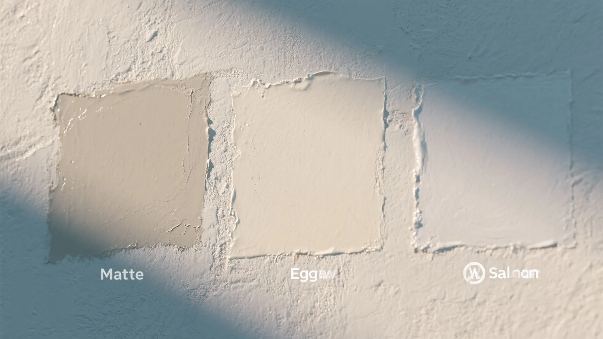 Macro view of matte, eggshell, and satin wall patches showing texture and reflectivity differences.