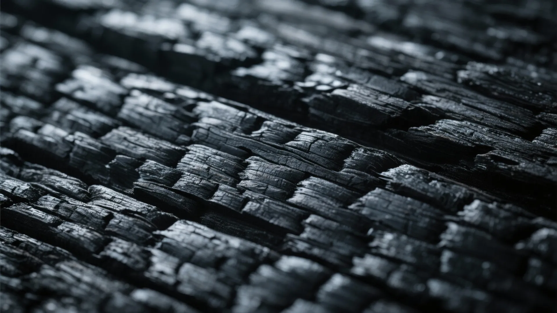 9. Burnt-Wood Shou Sugi Ban