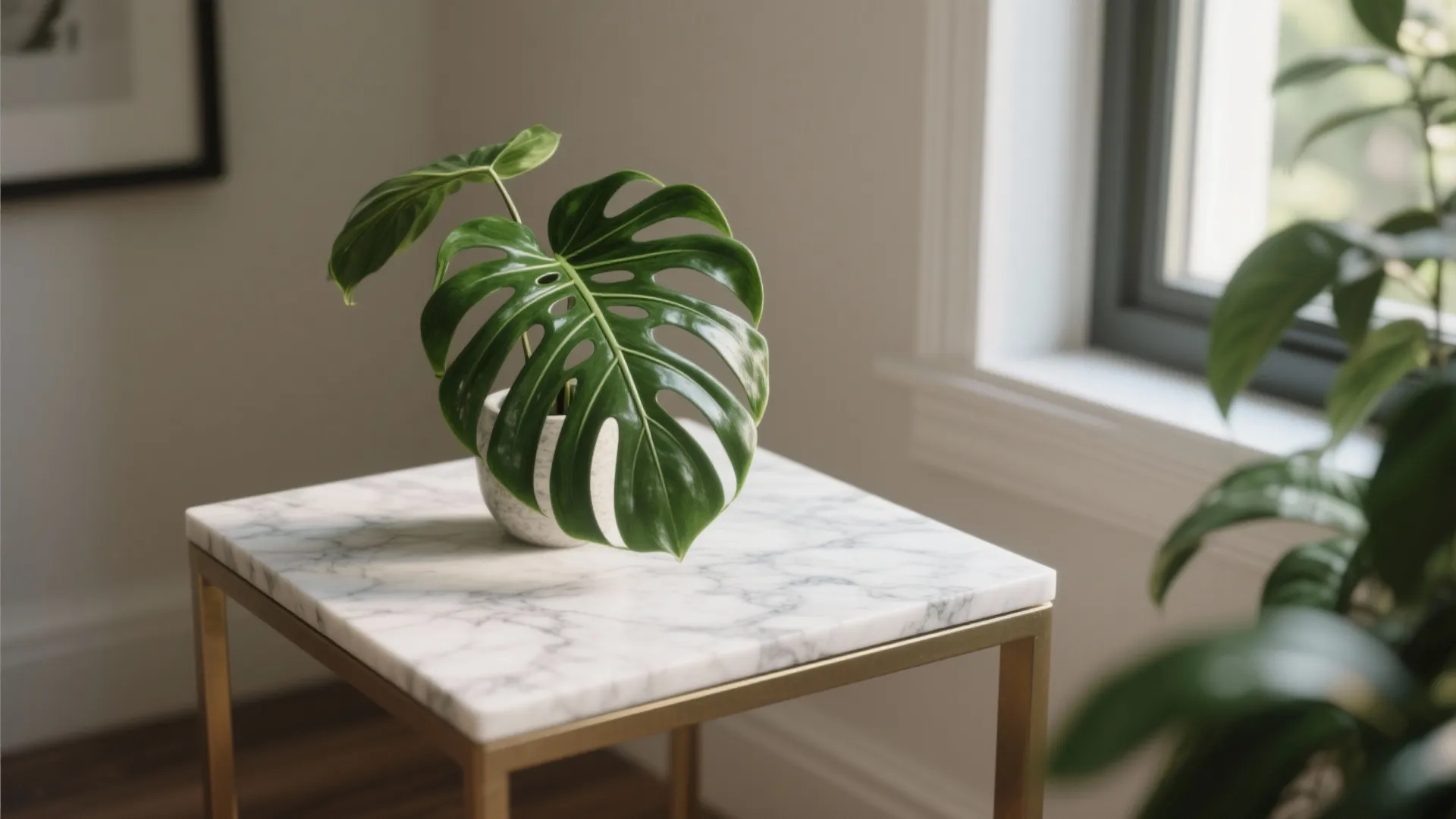 Green leaf plant in small pot on white marble side table with gold metal frame
