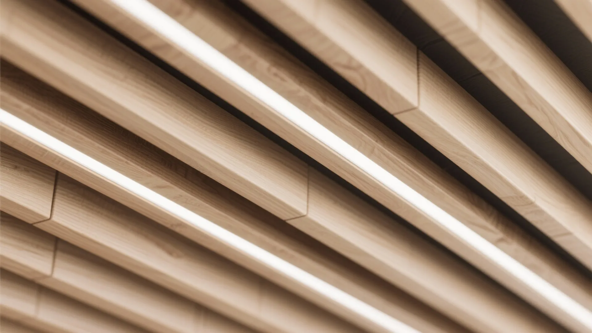 Linear Slat Canopy with Integrated Lighting