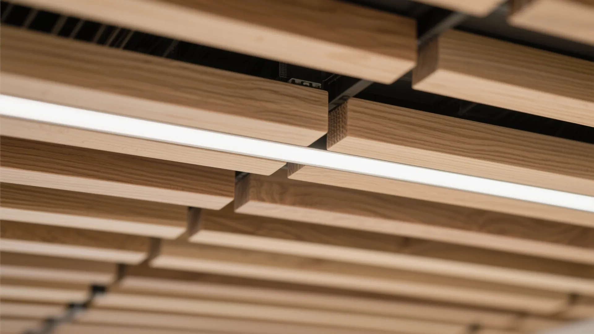 Wood Slat Canopy: Warmth, Acoustics, and Direction