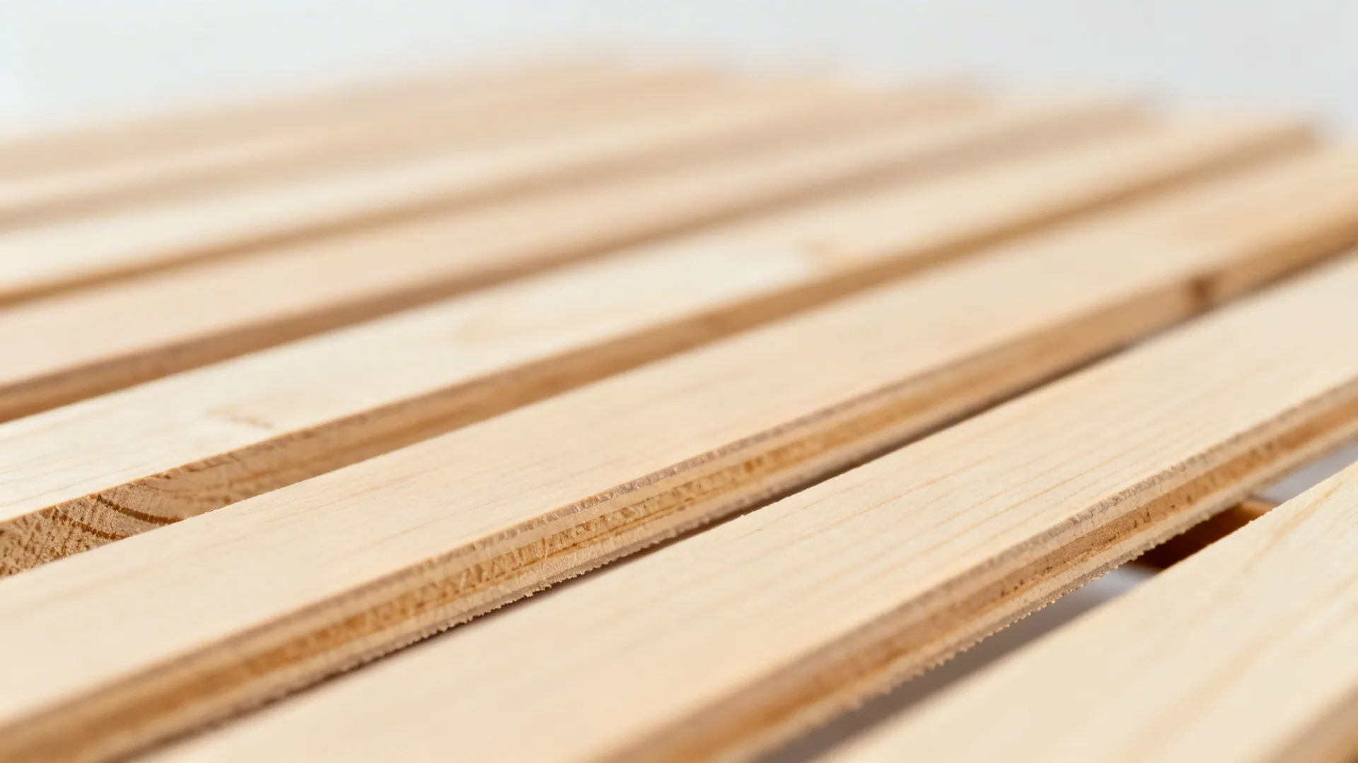 Macro of birch plywood slats with smooth satin finish and clean edges.
