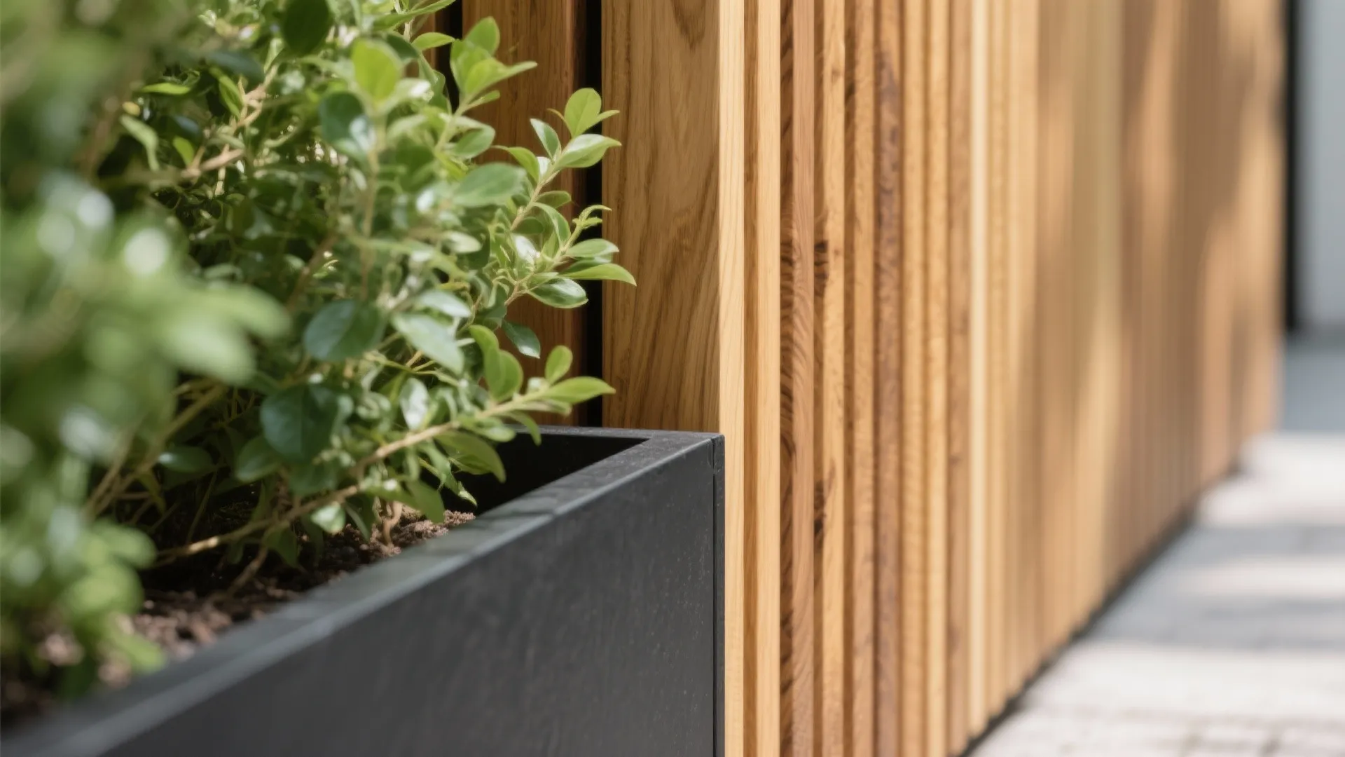 Slatted Wood + Plants for Texture, Warmth, and Soft Acoustics