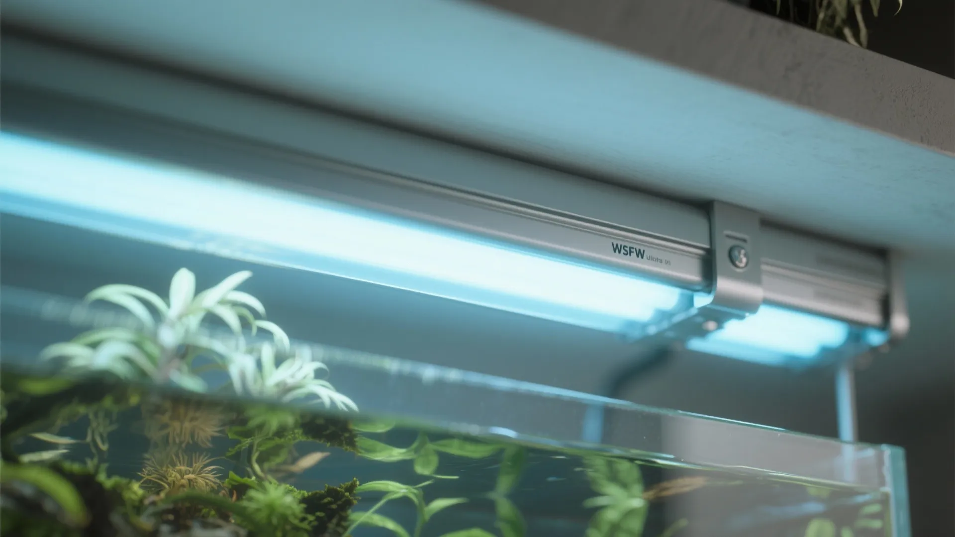 Close-up of a slim LED strip with a frosted acrylic diffuser softening light over a small planted aquarium.