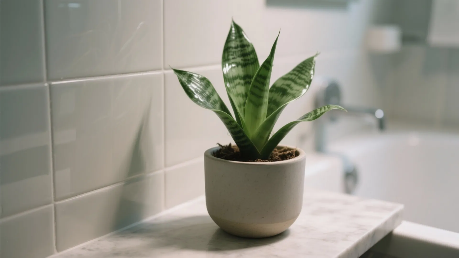 4. Small Green Touch