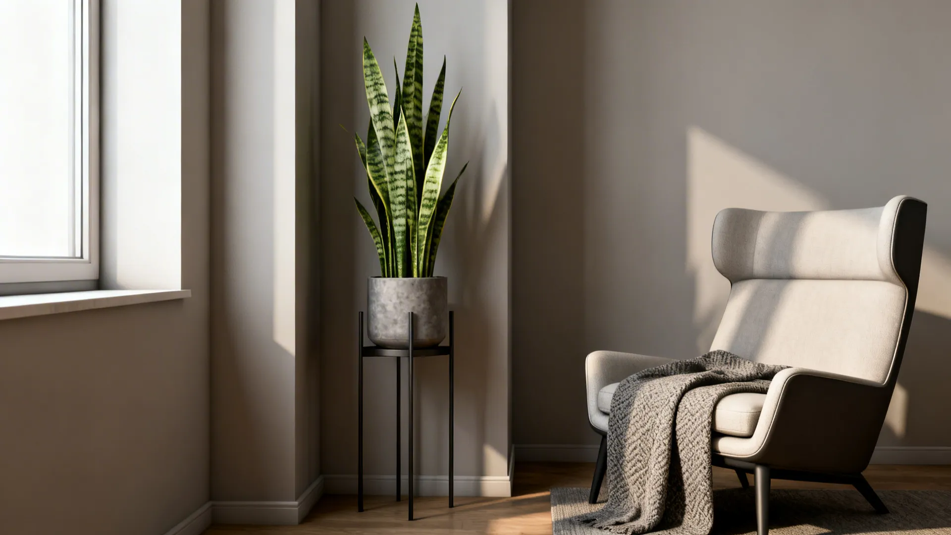 Narrow living room corner with a tall snake plant on a slim side table beside an armchair under soft daylight.
