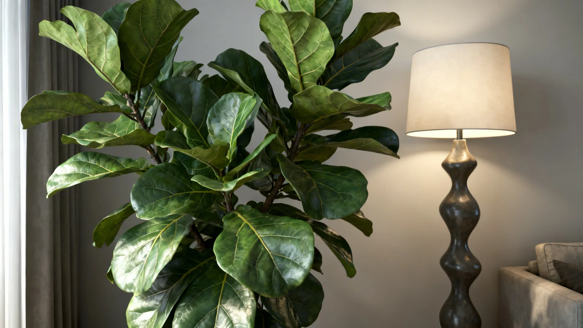 Close-up of a fiddle-leaf fig and sculptural lamp in a living room