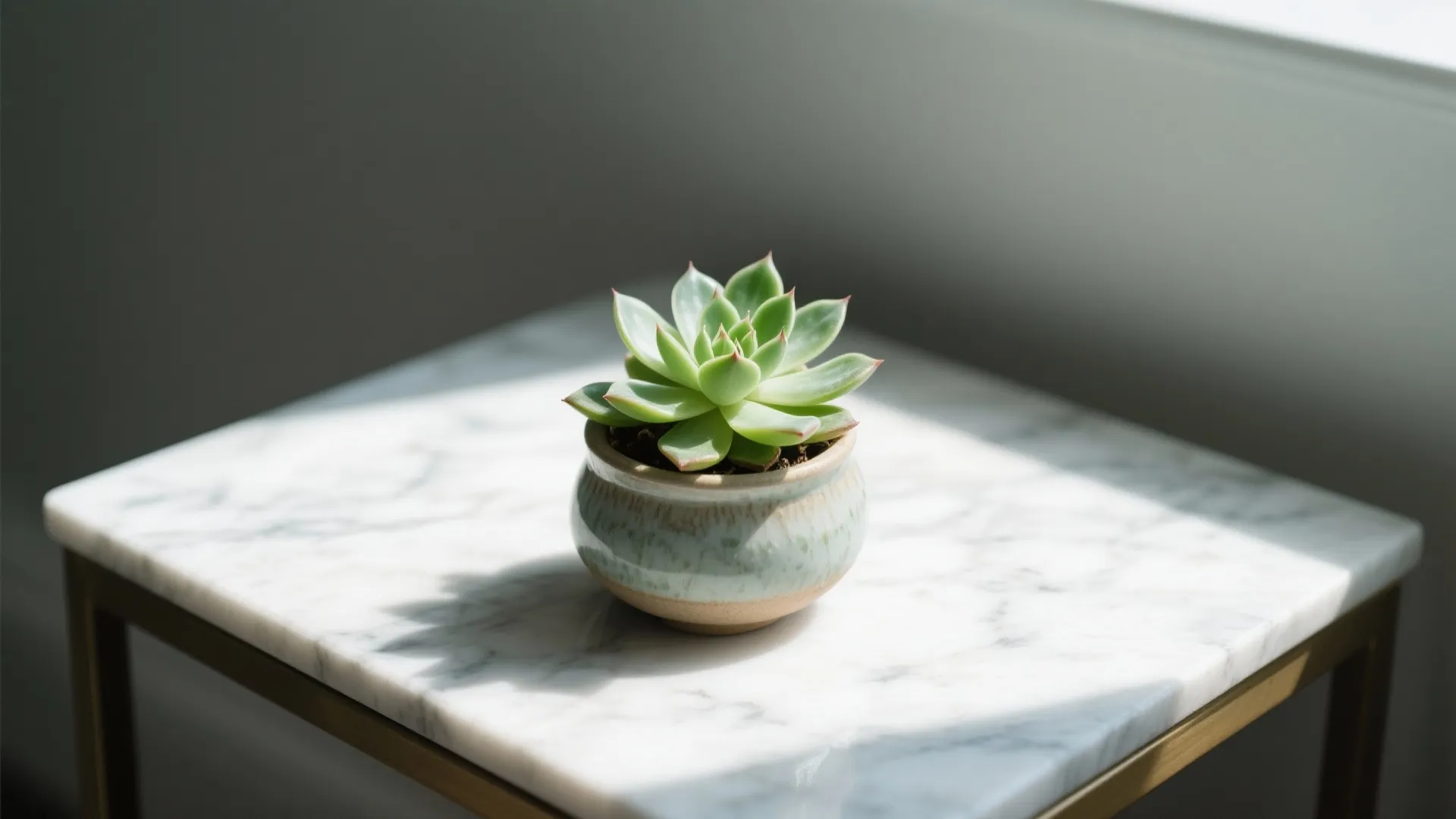 Small green plant in a ceramic pot sitting on a white marble top side table