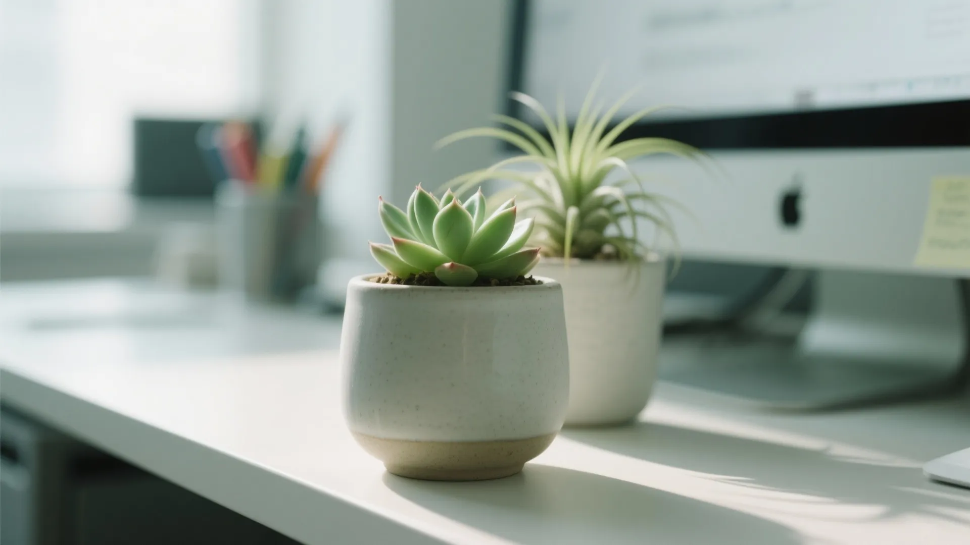 1. Desk-Friendly Indoor Plants