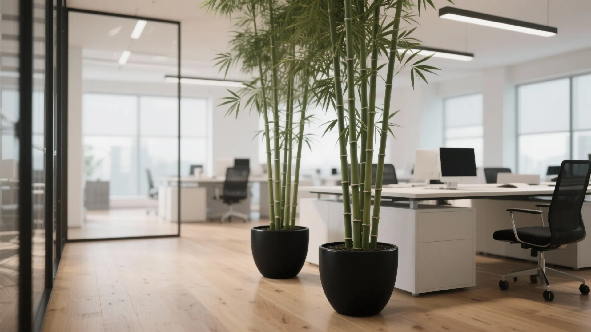 8. Tall Bamboo for Zen Vibes