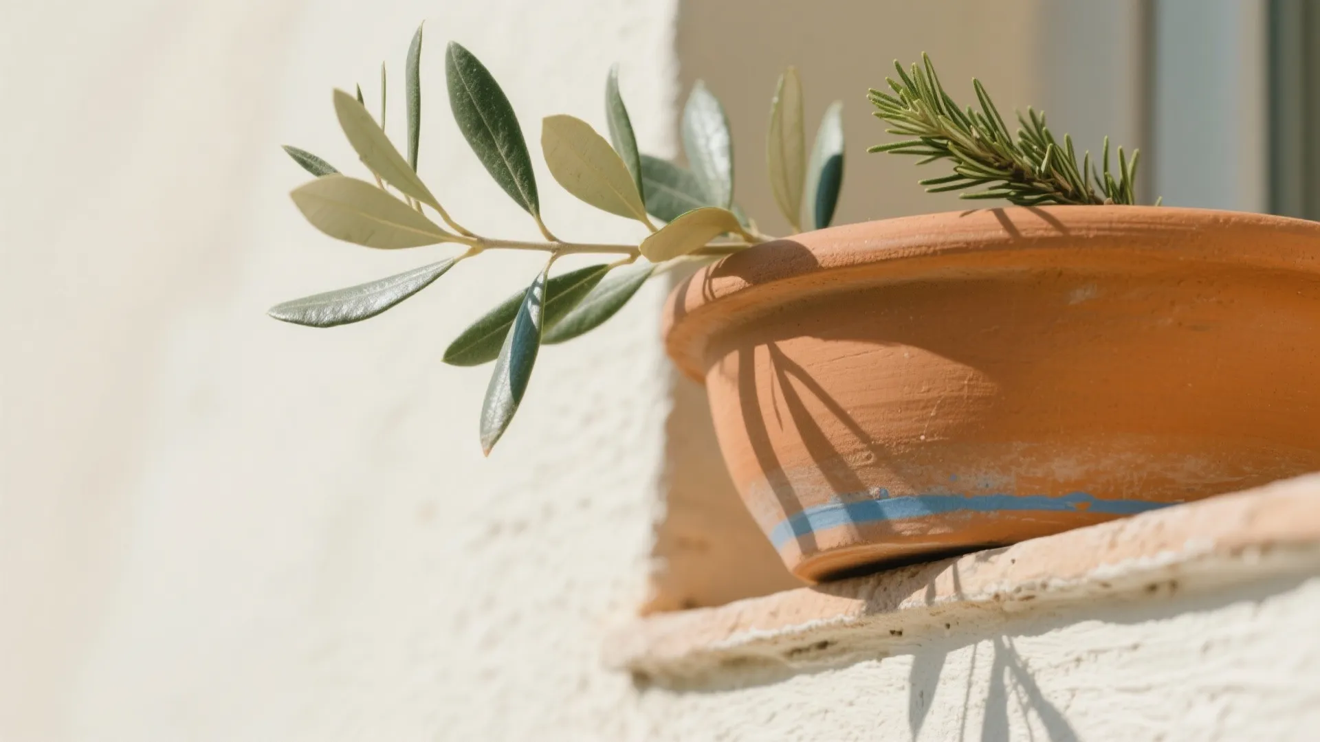 Mediterranean Textures: Terracotta, Limewash, and Olive Green