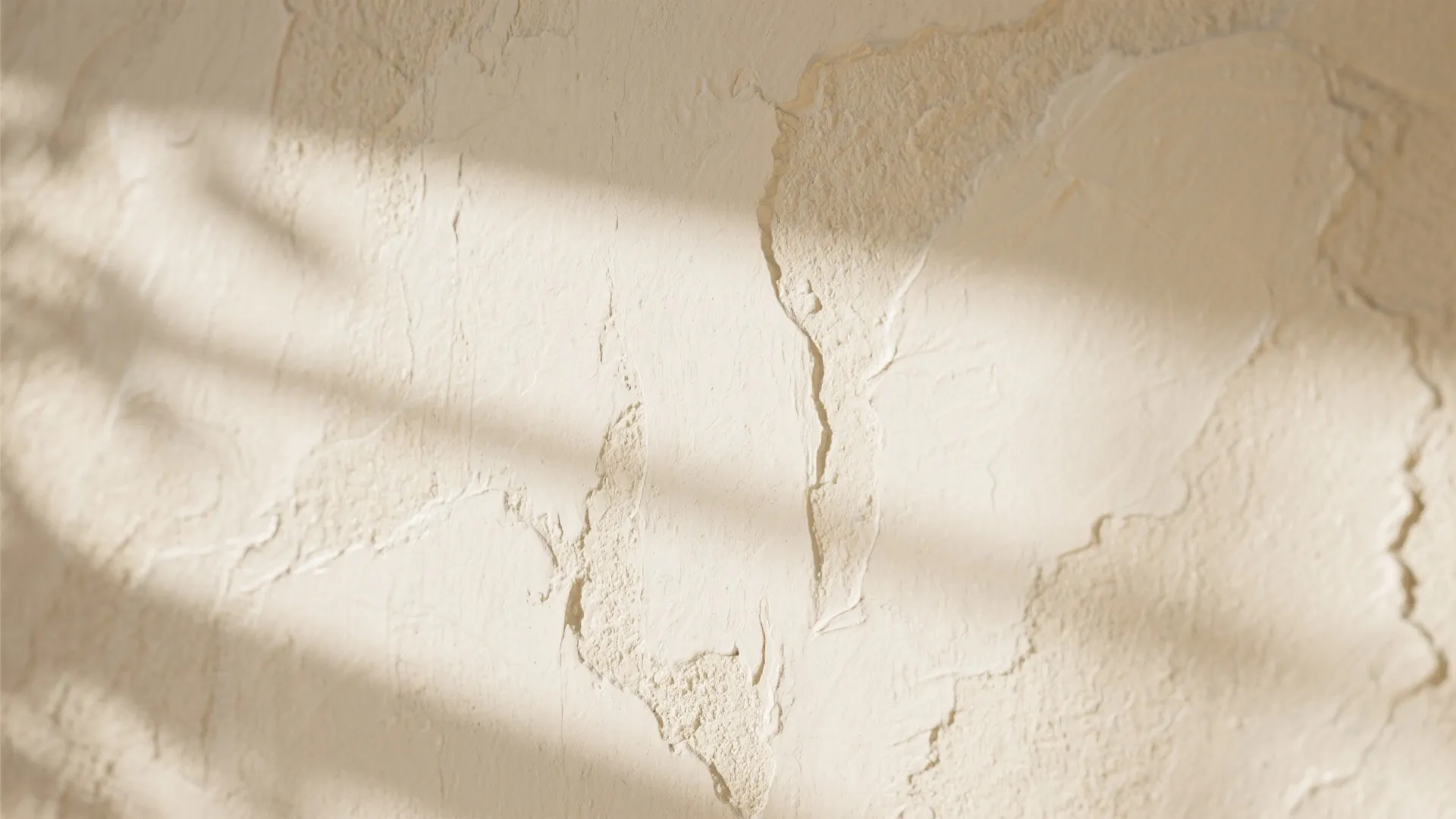 Close-up of textured beige wall surface with soft shadows from leaves and warm natural light