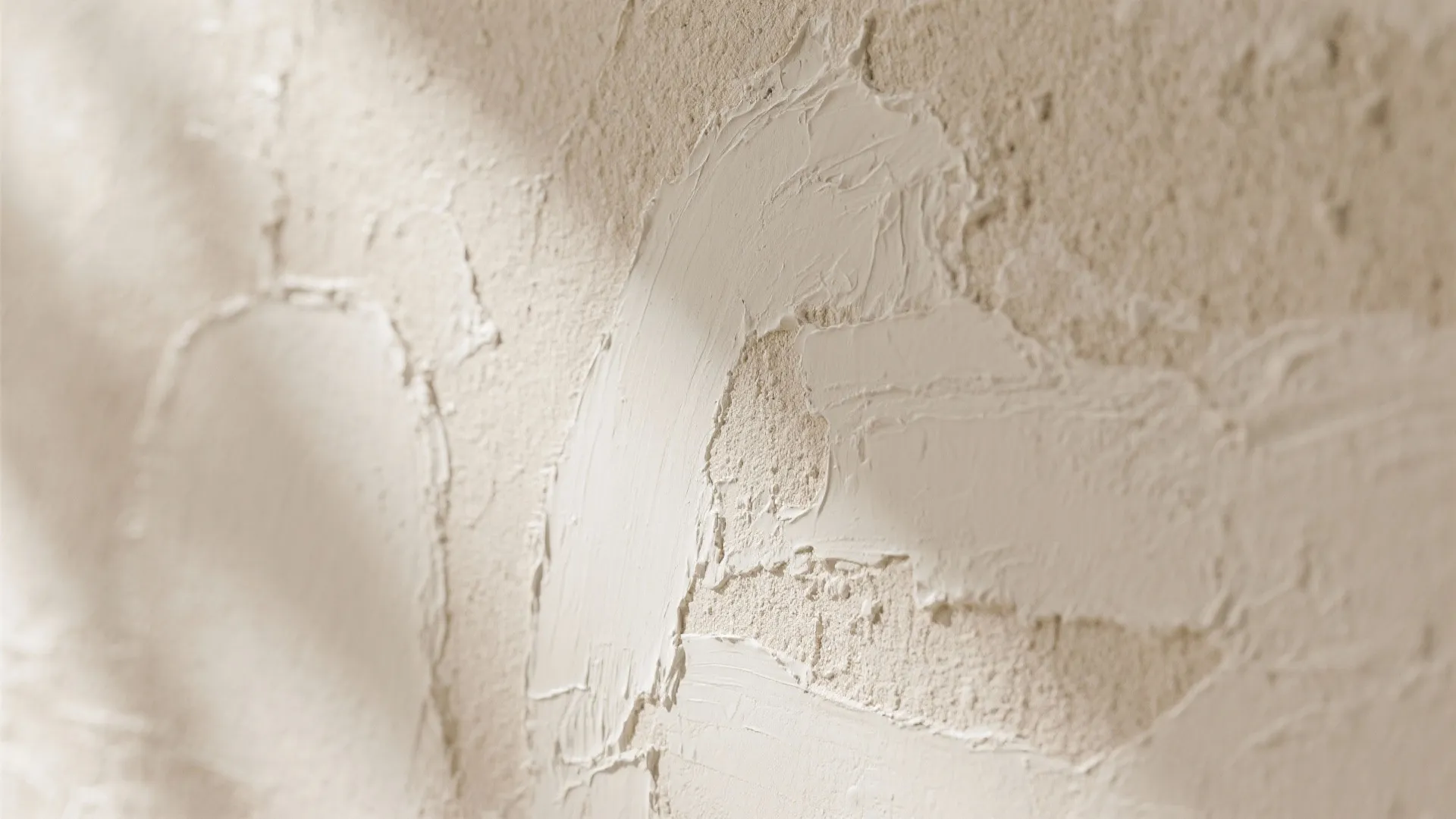 Macro close-up of limewash wall showing layered, variegated mineral texture and matte finish.