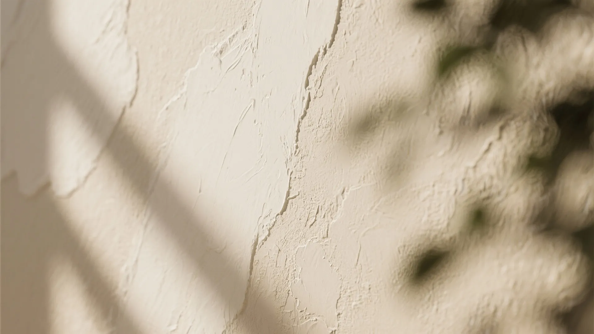 Close up of textured cream wall with soft shadows from a plant in natural light