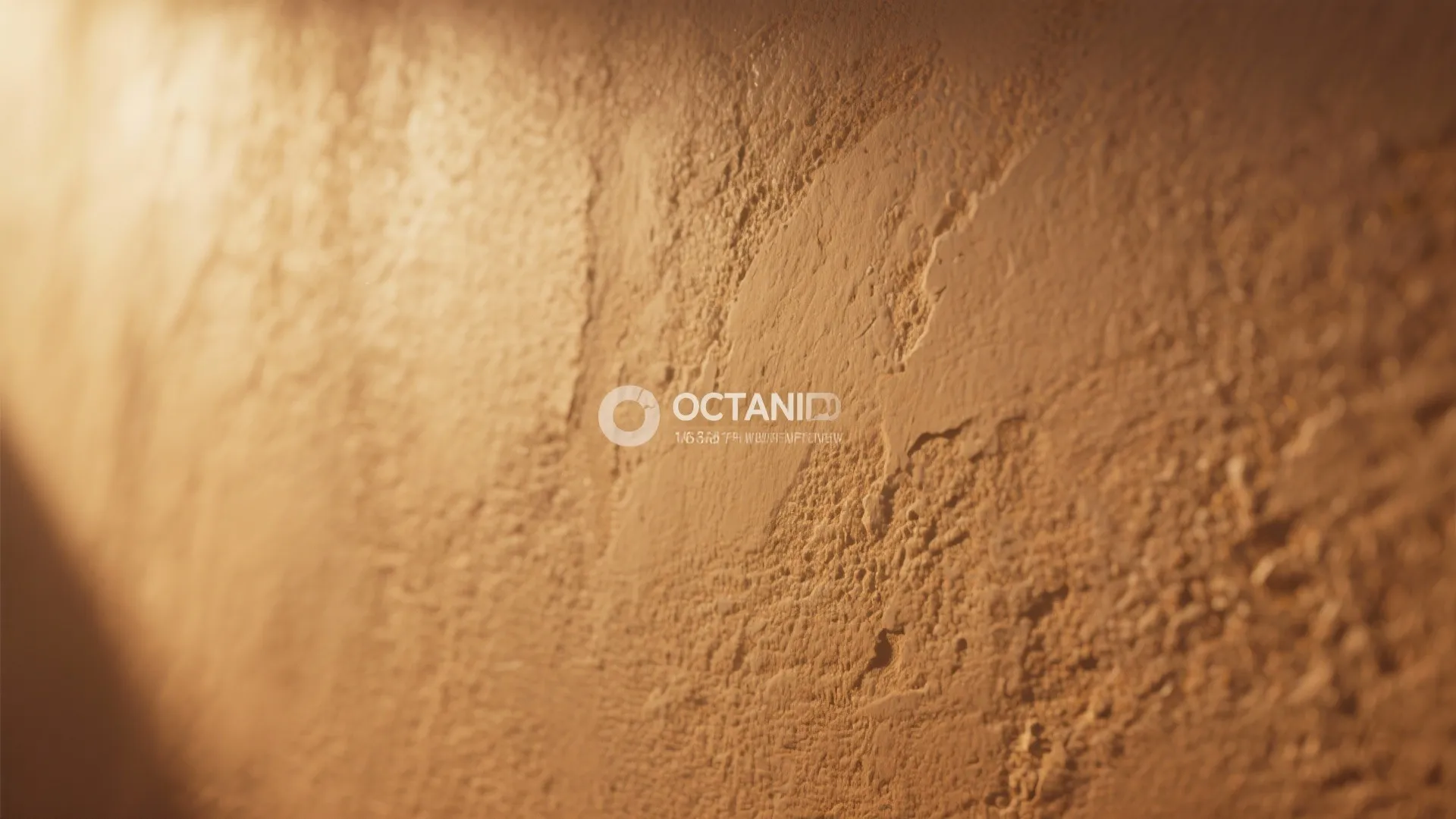 Textured Paint Finish