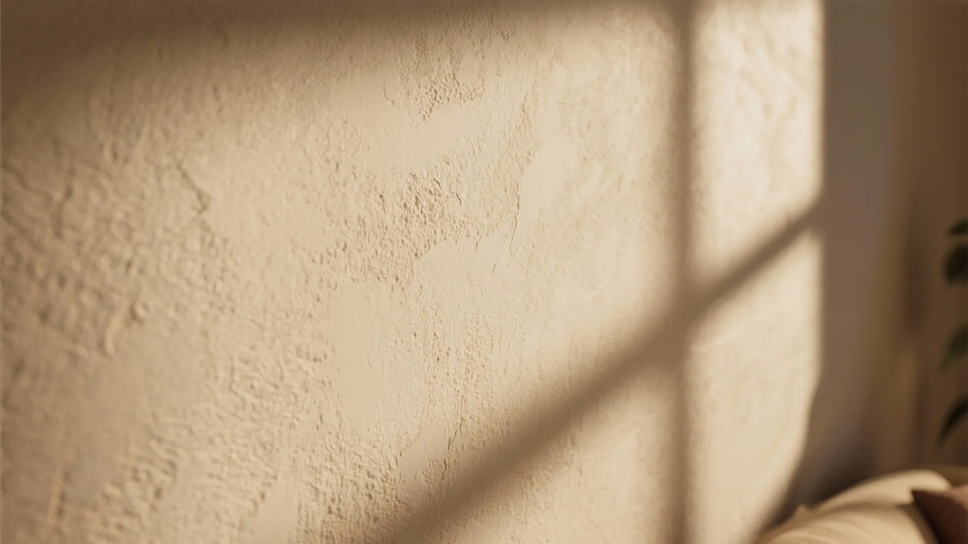 Close-up of sand-textured beige wall in a cozy drawing room