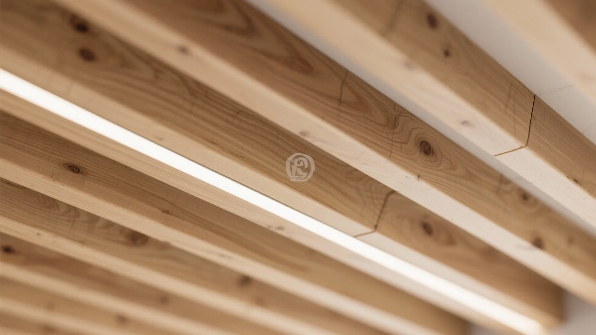 Statement Timber Ribs