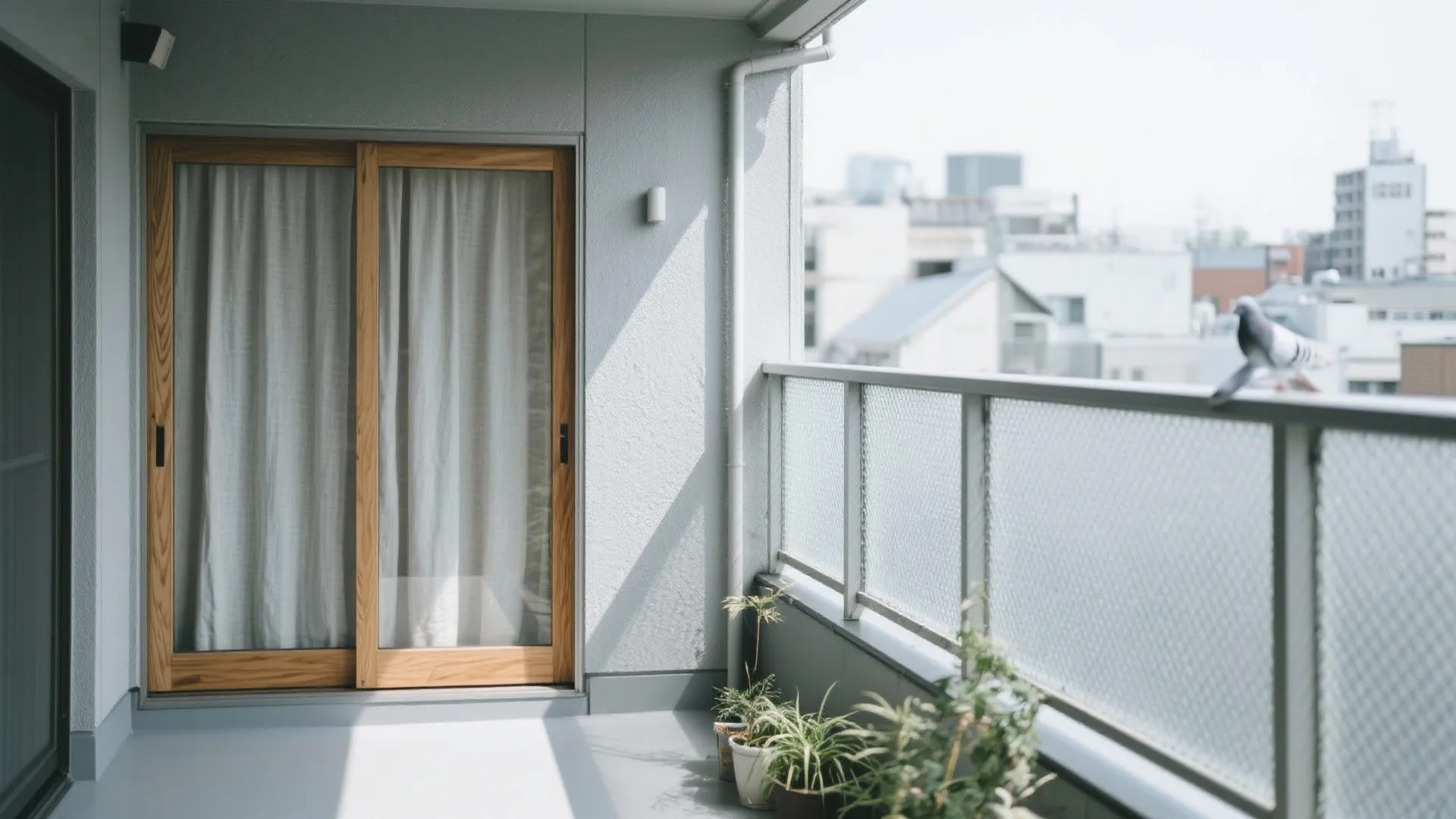 鳩マンション対策｜日本の小型住宅で効く実践アイデア7選
