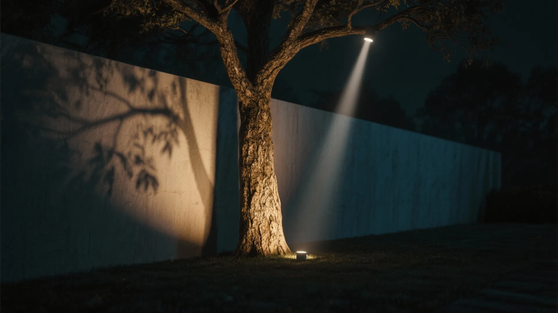 Tree uplighted from its base creating dramatic shadow patterns on a nearby wall.