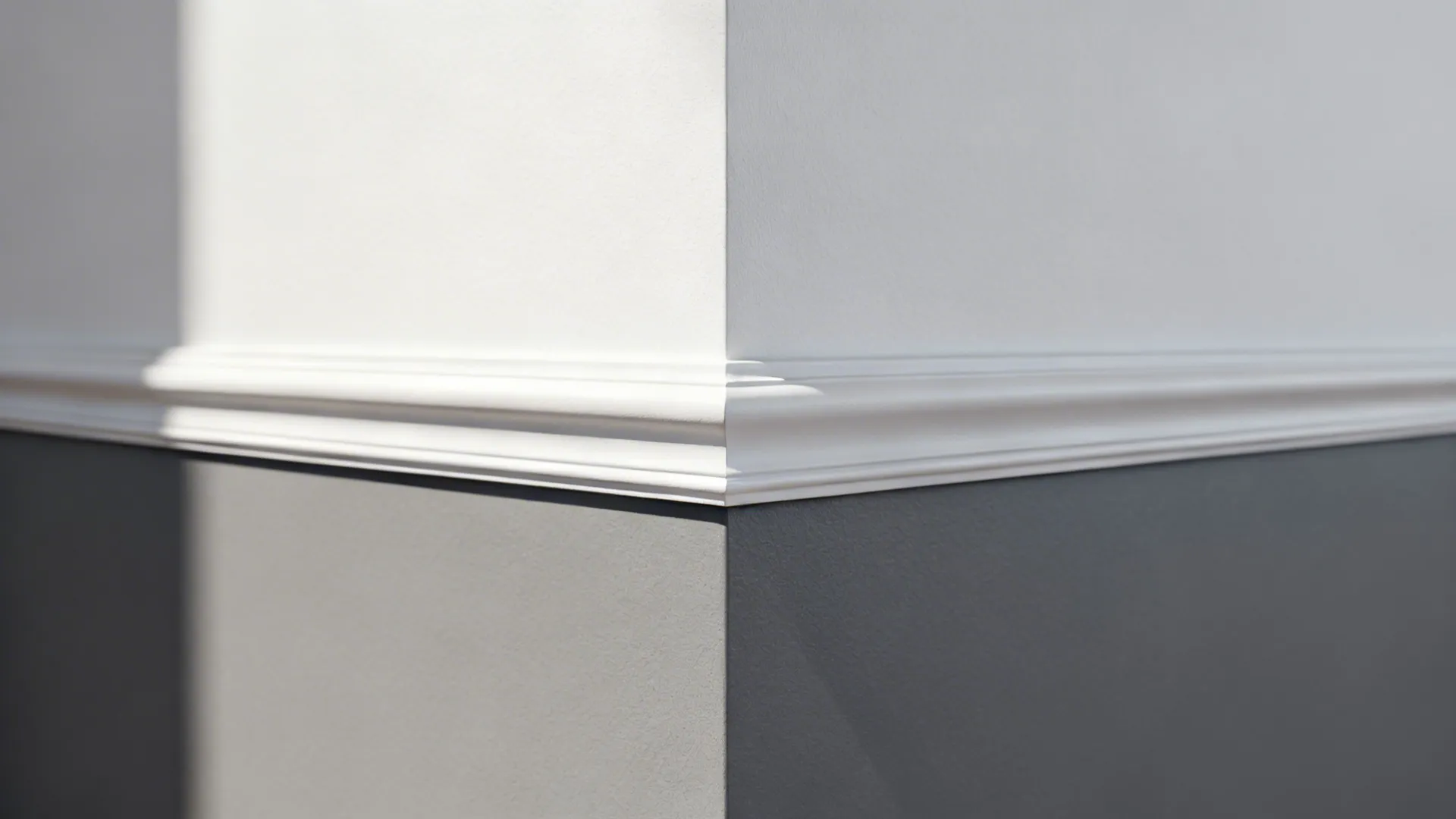 Crisp two-tone wall detail with Aloof Gray lower and Exquisite White upper separated by a clean line.