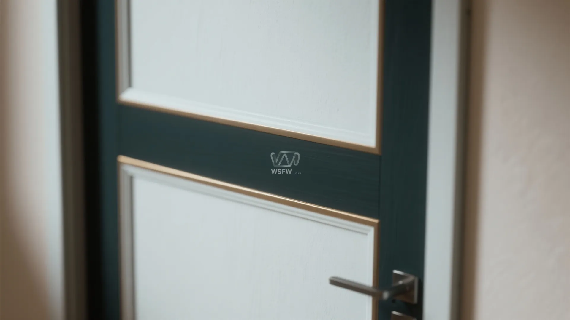 4. Two-Tone Doors or Color-Blocked Panels