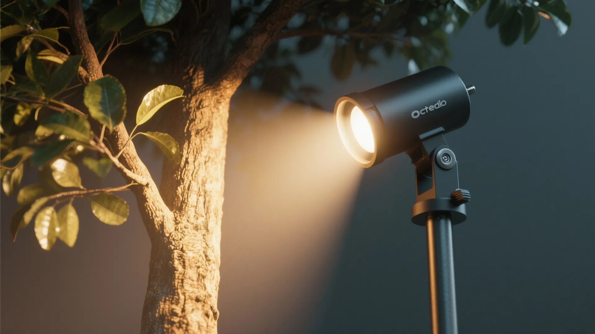 2. Uplighting plants and trees