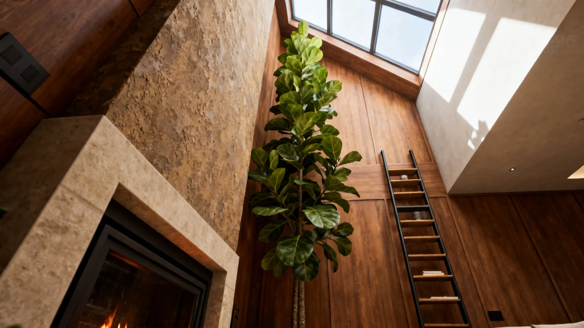 Tall fiddle-leaf fig and slim shelving soften a tall vertical wall in a living room.