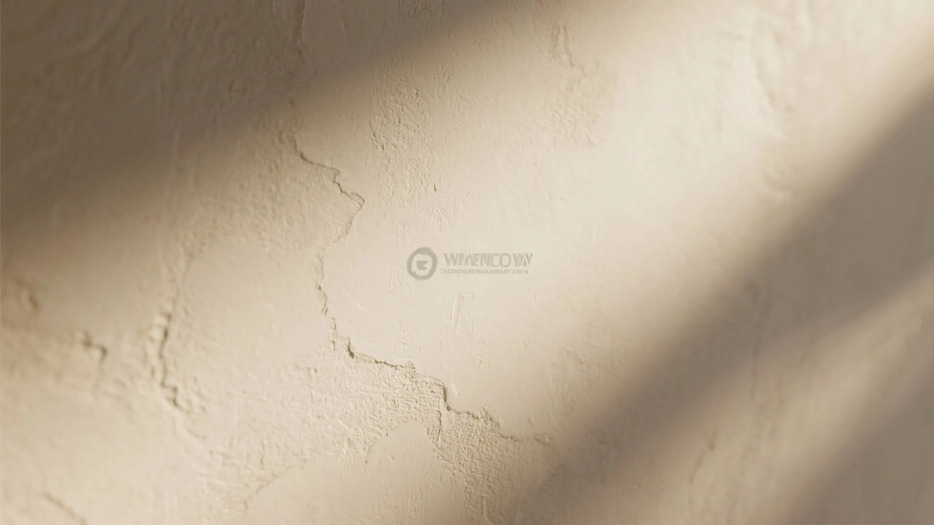 Macro of limewash wall texture softly illuminated by wall wash lighting.