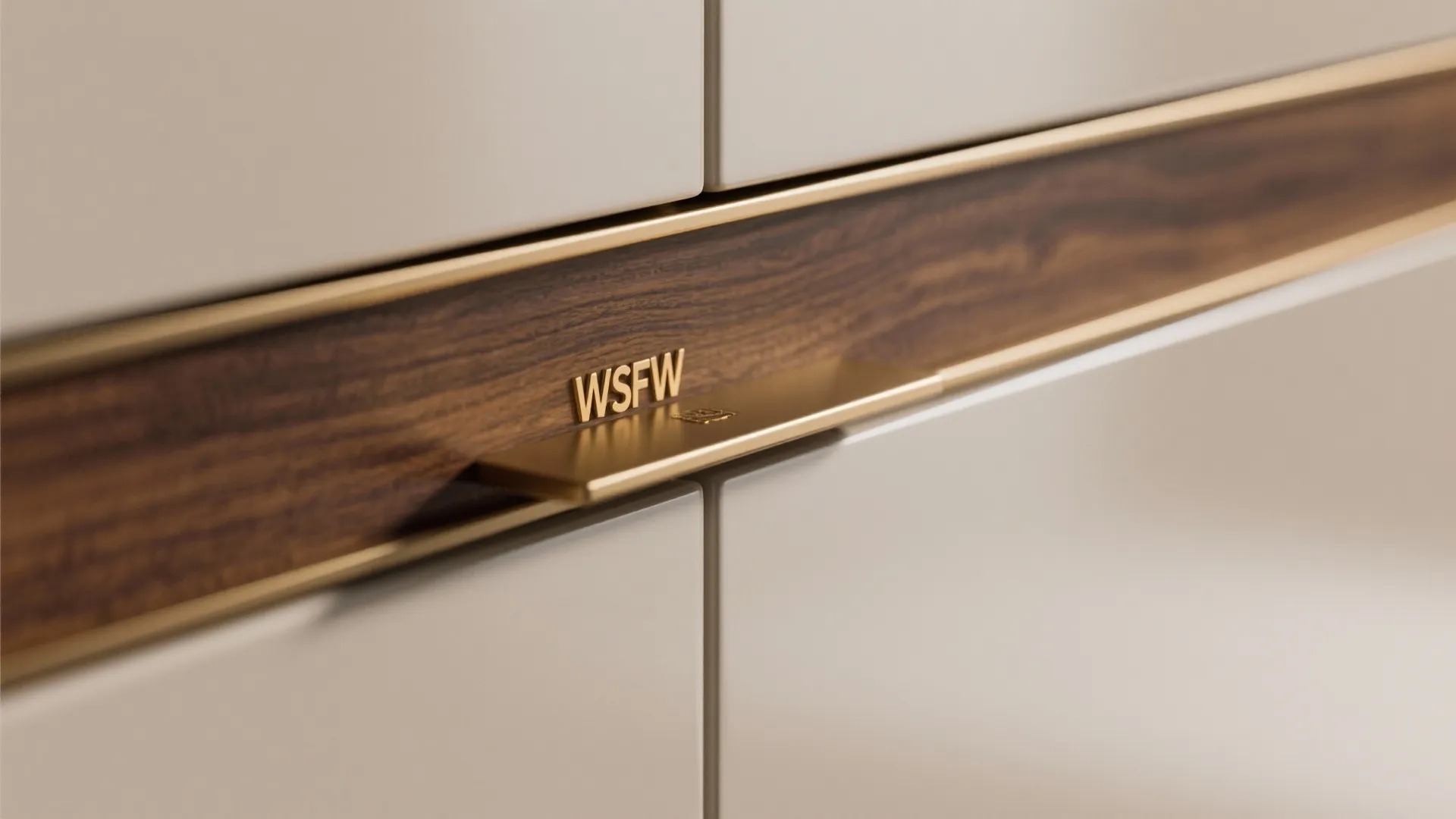 Minimalist Storage with High-End Finishes